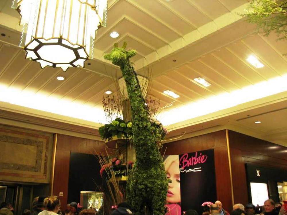 Macy's giraffe topiary