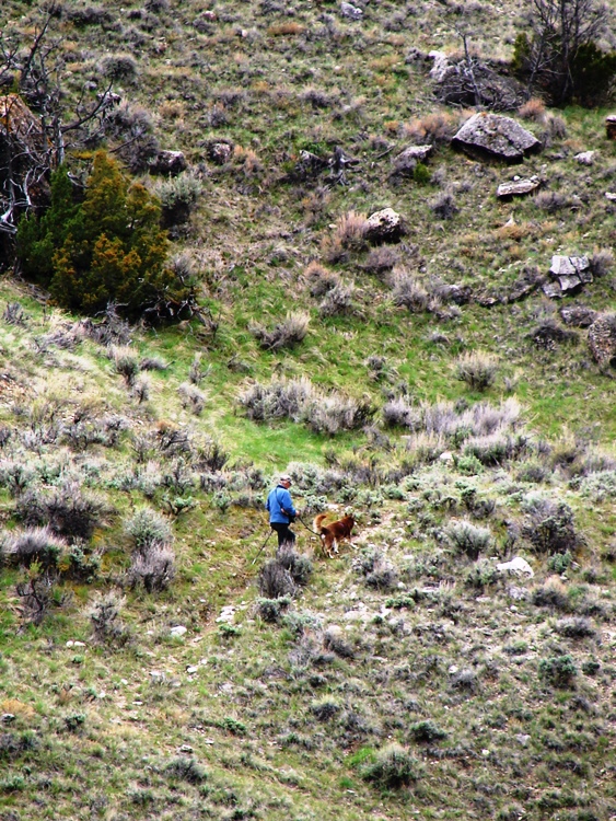 A man walking his dog on the mountainside.