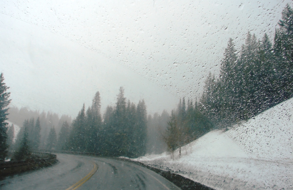 Snow in the Bighorns.