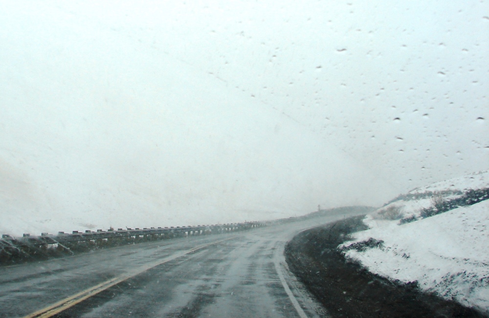 Snow in the Bighorns.