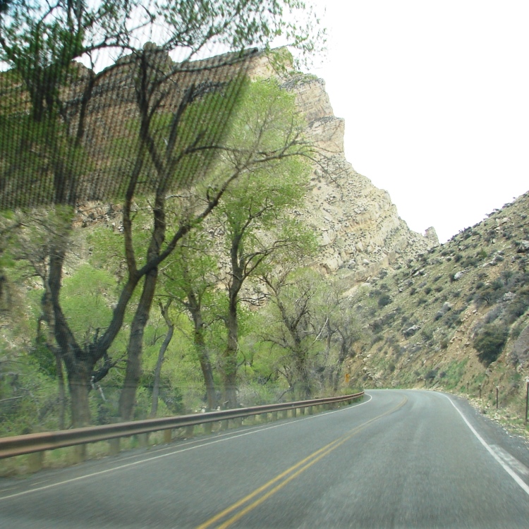 On the Bighorn Scenic Byway