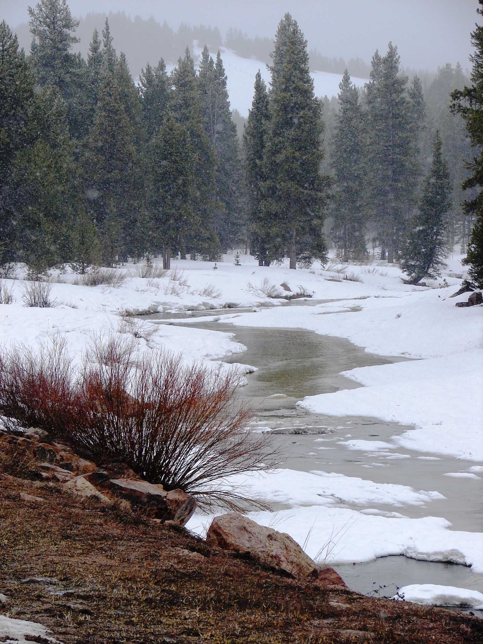 South Tongue River