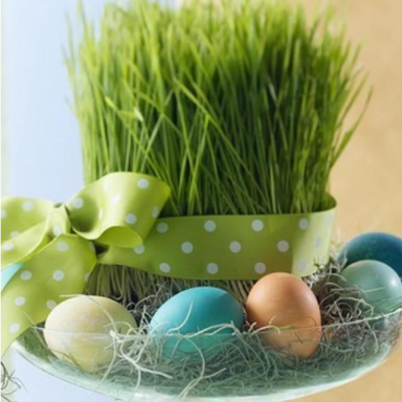 Wheatgrass tied with a spring ribbon surrounded by colorful eggs. Perfect. (Photo: Home BNC)