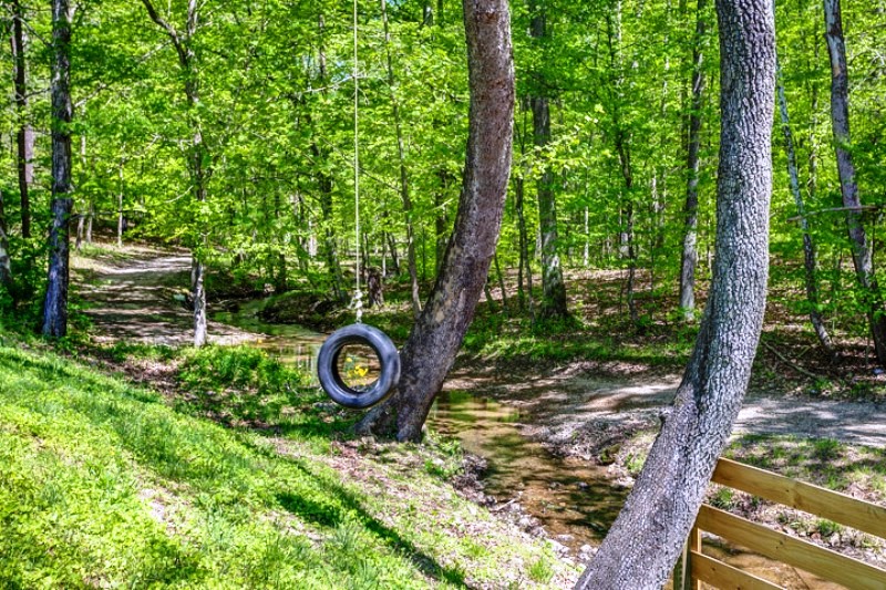 Tire swing in the woods.