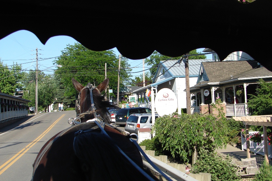 Amish buggy ride