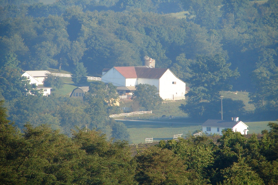 Distant farm