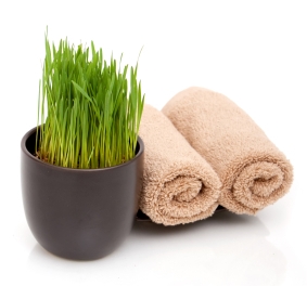 Spa towels and wheatgrass