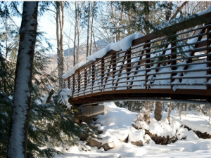 Winding path to the bridge