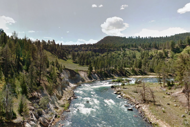 Winding its way through the park, the Yellowstone River is as wild as the wildlife.
