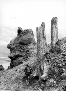 Petrified trees on Amethyst Mountain, 1890. (Photo: Wikipedia)